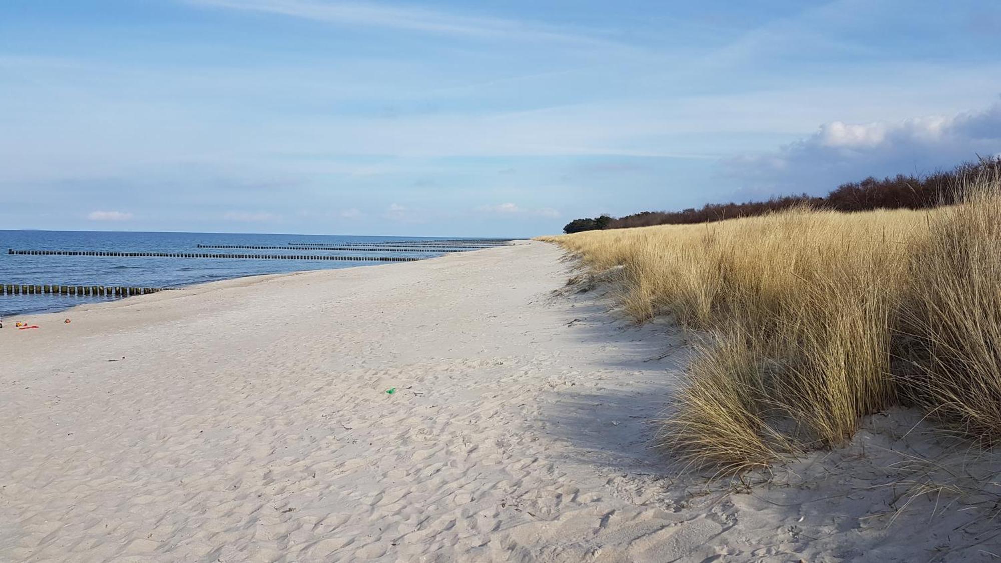 Achtern Diek Haus 12A Wohnung 7 Zingst Dış mekan fotoğraf